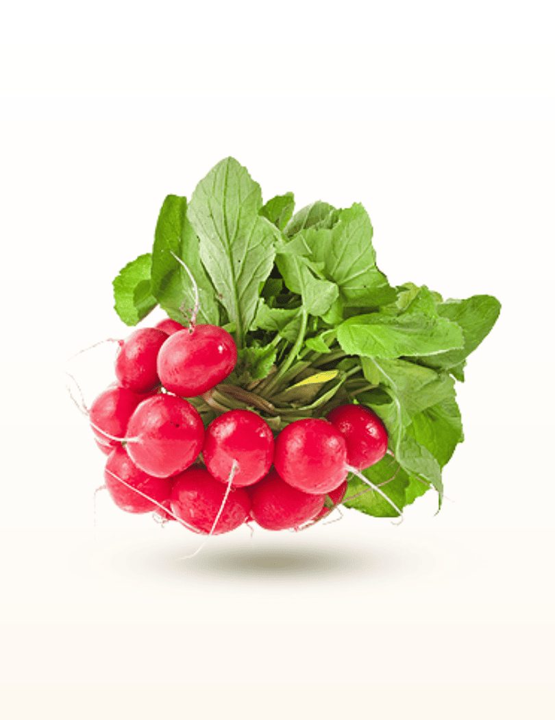 Radis Rouge